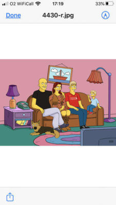 Custom Simpsons Portrait photo review